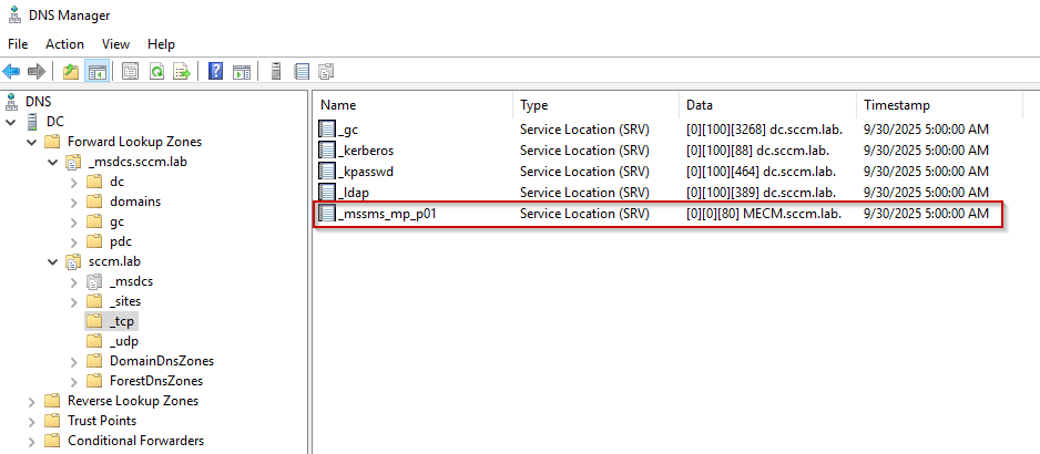DNS manager records
