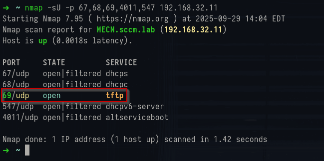 Nmap UDP scan results