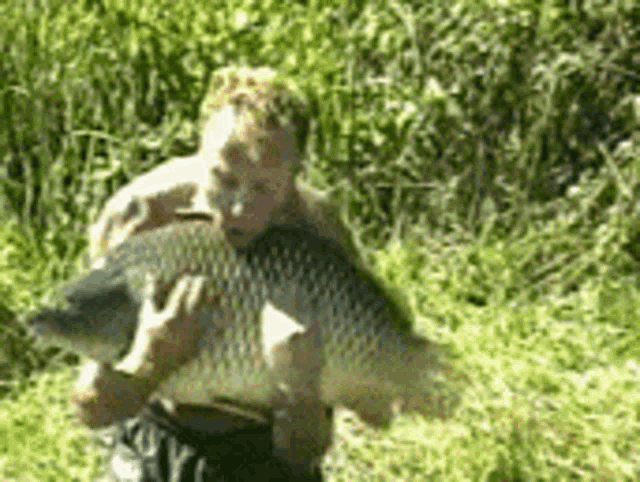 Big fish