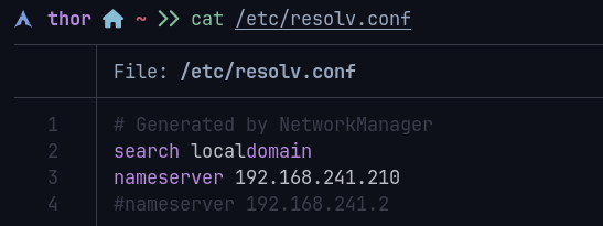 DNS resolvers