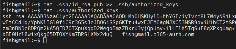 Authorized SSH keys