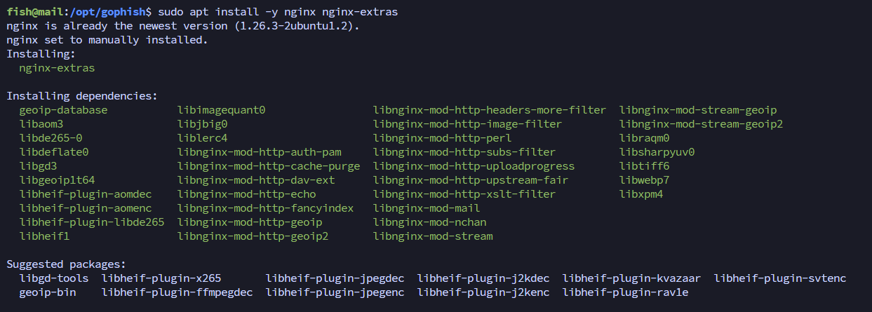 Nginx installation